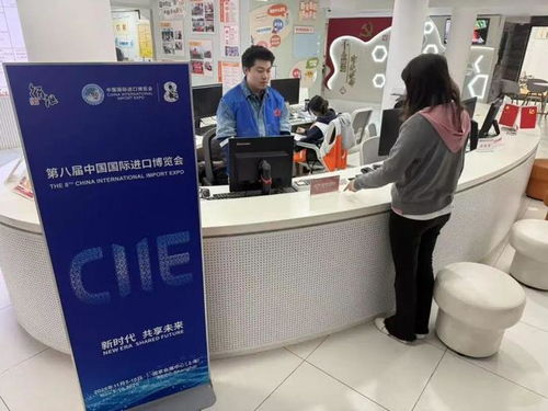 志愿暖流汇聚徐汇，全力护航进博盛会——信息咨询服务助力进博会