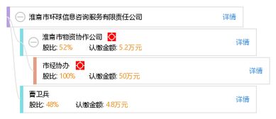淮南市环球信息咨询服务有限责任公司 专业信息咨询服务的引领者