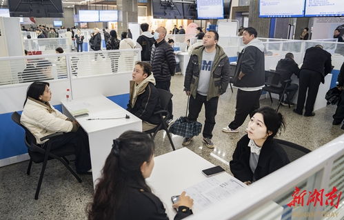 搭台送岗 服务赋能 信息咨询服务在就业生态中的核心价值