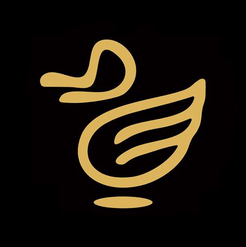 武汉嘉优鸭信息科技 专业信息咨询服务的实践者与创新者